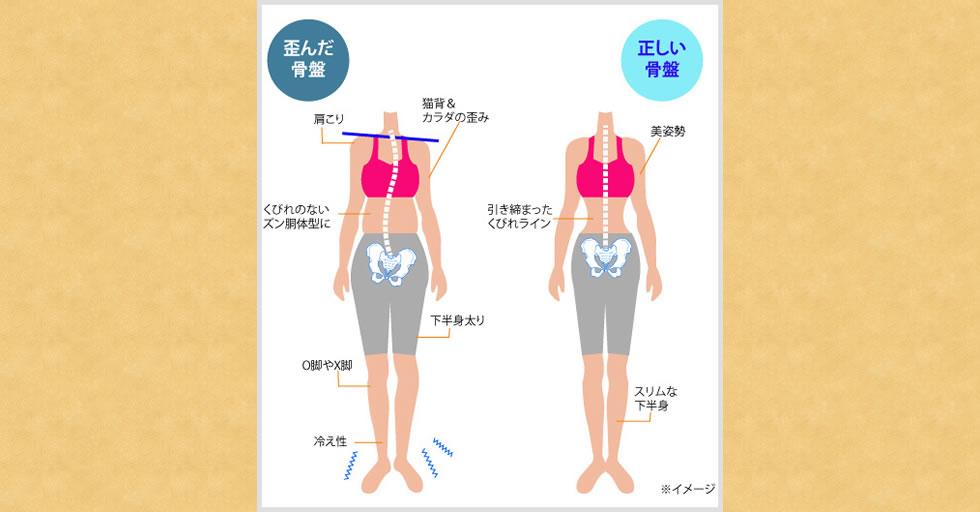 カイロプラクティック恵